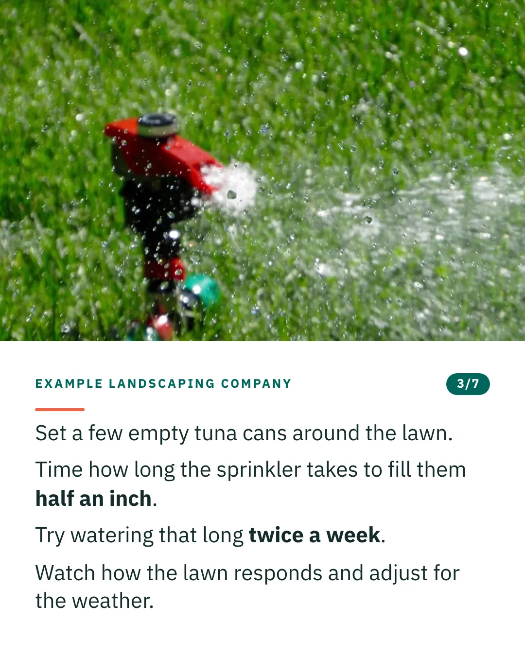 Slide 3 of 7. Card reading: Set a few empty tuna cans around the lawn. Time how long the sprinkler takes to fill them half an inch. Try watering that long twice a week. Watch how the lawn responds and adjust for the weather. Above the words, a photograph: A red sprinkler head throwing a spray of water across bright green grass. (CC0).
