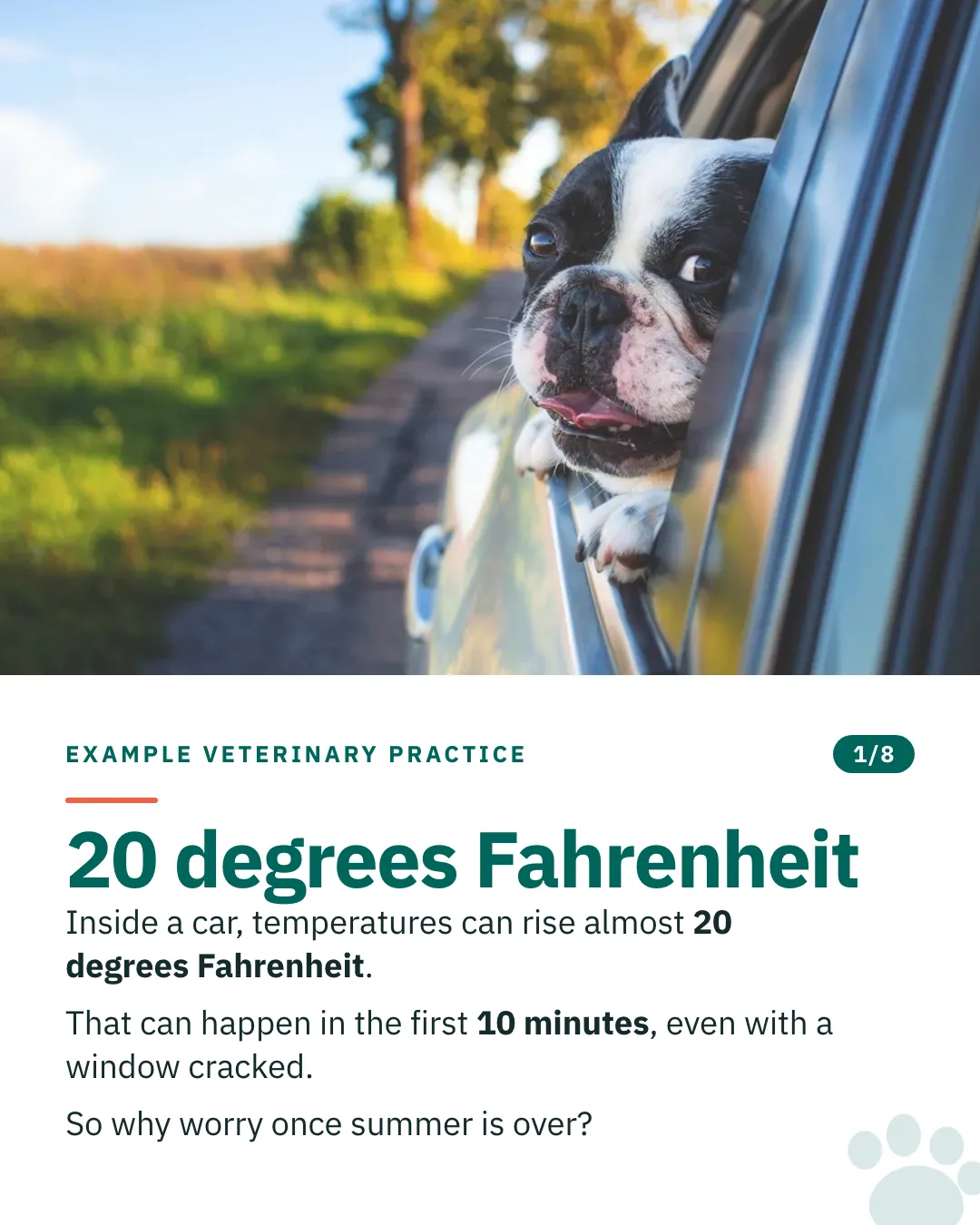 Slide 1 of 8. Card reading: Inside a car, temperatures can rise almost 20 degrees Fahrenheit. That can happen in the first 10 minutes, even with a window cracked. So why worry once summer is over? Above the words, a photograph: A French bulldog leaning out of an open car window with its paws over the door. (CC0).