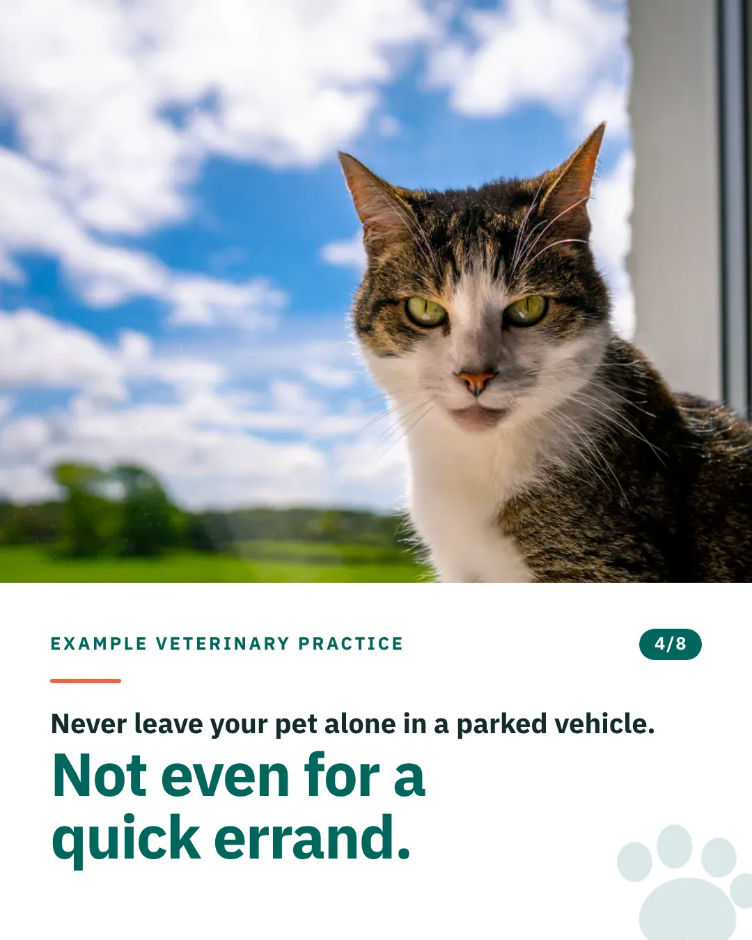 Slide 4 of 8. Card reading: Never leave your pet alone in a parked vehicle. Not even for a quick errand. Above the words, a photograph: A tabby and white cat sitting at a window with blue sky and fields behind. (CC0).