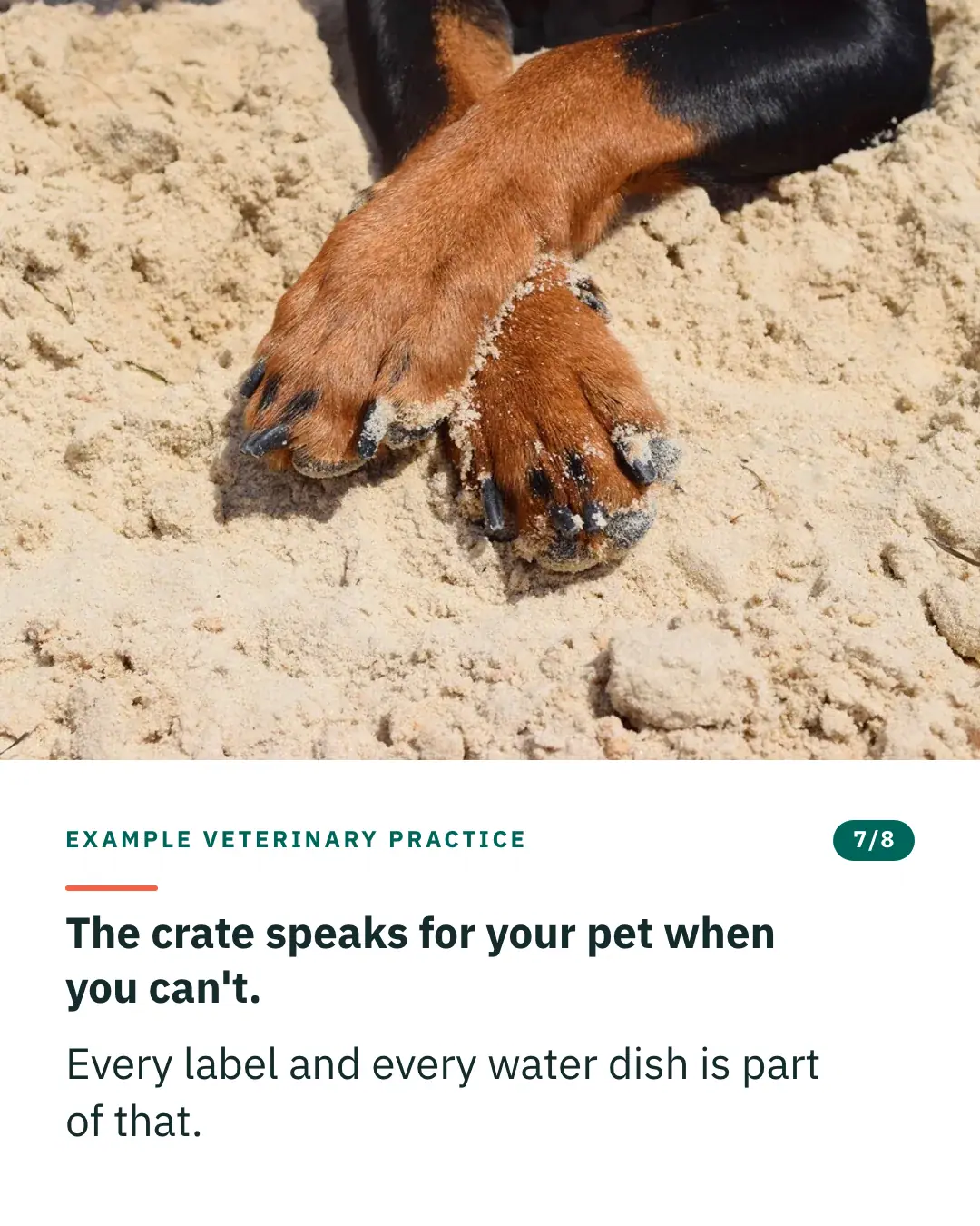 Slide 7 of 8. Card reading: The crate speaks for your pet when you can't. Every label and every water dish is part of that. Above the words, a photograph: A close view of a dog's two front paws resting on pale sand. (CC0).